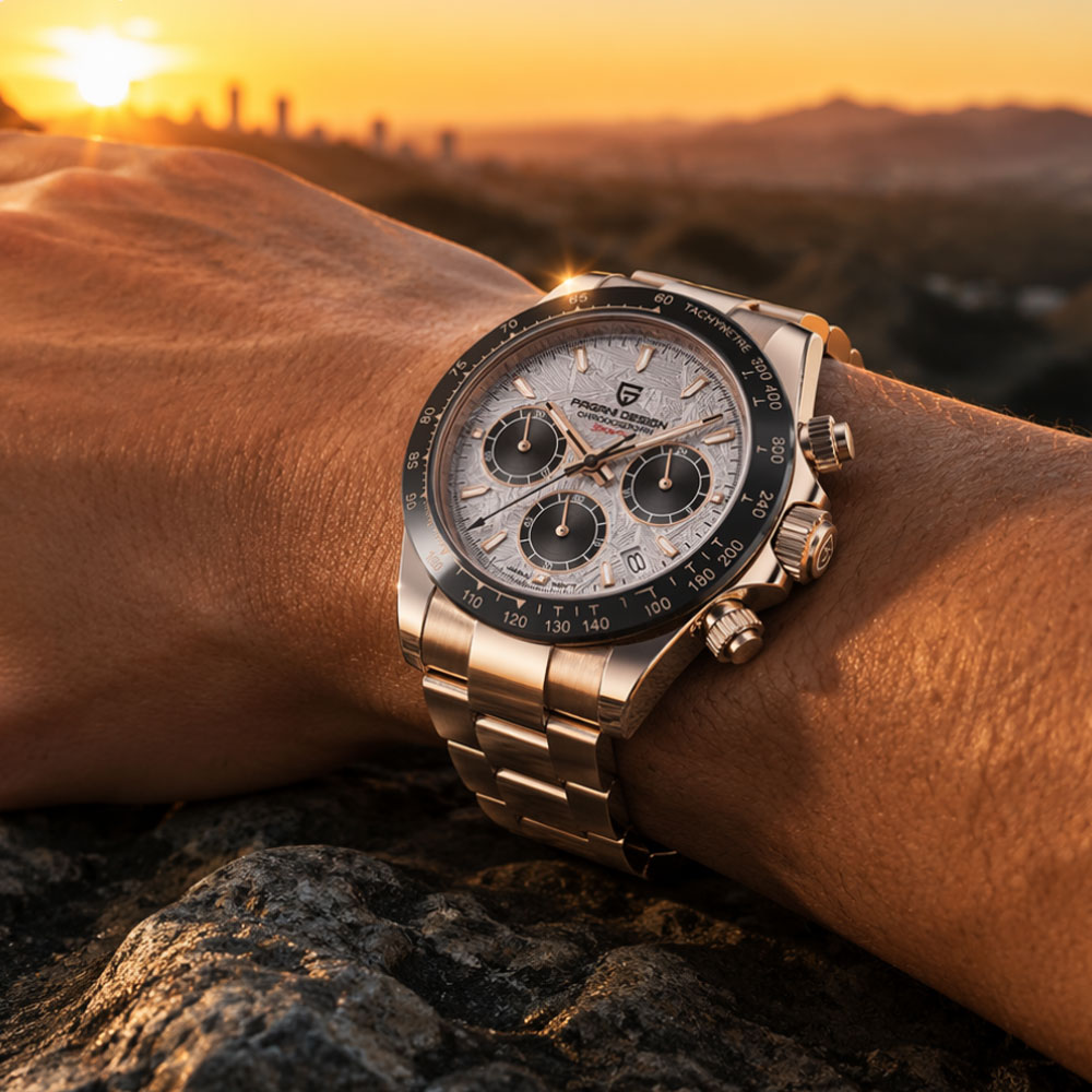 Top Brand PAGANI DESIGN Luxury - Mens Fashion Watch recension och pris